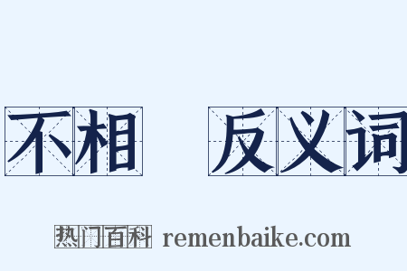 不相應反义词是什么意思的图片